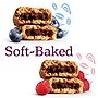 Nature's Bakery Nutrition Bar Variety Pack, 2 oz., 32 Bars/Box (900-00151)~#|#~7381BB35-77A1-468F-97B2824D2C0D45E7_sc7