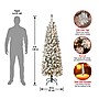 National Tree Company 6' Pre-Lit Acacia Artificial Christmas Tree (AC100-304-60F)~#|#~7476D6CB-EB7C-41D0-98A6489349583878_sc7