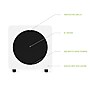 Kanto SUB8 KTSUB8VMW 300W Indoor Subwoofer Speaker, Matte White~#|#~74BE8B75-8B0A-4FDD-AC1396295198DCBA_sc7
