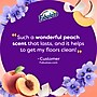 Fabuloso 2X Multi-Purpose Cleaner, Peach Scent, 56 oz. (61046751)~#|#~75223A1B-D5EF-4E25-88D3189D5FFB1D45_sc7