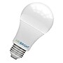 Viribright 9 Watts Daylight LED Household Bulb, 12/Box (65K/640340/4/3)~#|#~75294B7C-CD61-4E6B-B4C25CD8CB7709A2_sc7