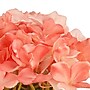 National Tree Company 10" Coral Hydrangea Bouquet in White Basket (MT81-1326GCOR-1)~#|#~7557B25B-4E3F-47E0-A123C4EA25243B08_sc7