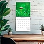 2027 BrownTrout Magic Mushrooms 12" x 12" Monthly Wall Calendar (9798330714025)~#|#~75AA9B36-842A-4BC2-878638F42E3B8919_sc7