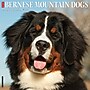 2027 Willow Creek Bernese Mountain Dogs 12" x 12" Monthly Wall Calendar, Assorted Colors (59135)~#|#~75E7E67B-48C1-4345-9FBDEB011152B61A_sc7