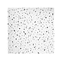Armstrong FINE FISSURED Square Lay-In Edge Ceiling Tile, 24" x 48", 15/16 Grid Size, White, 8/Carton (BP1830)~#|#~7609BE3E-2A93-4254-BEE987B36EE70084_sc7