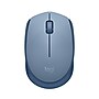 Logitech M170 Wireless Ambidextrous Optical Mouse, Blue/Gray (910-006863)~#|#~766DF586-DE72-4DC2-99E94DC8864E9BFD_sc7