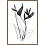 Amanti Art Paradise Botanicals I by Danhui Nai Framed Canvas Wall Art Print, 23" x 33" (A42678302435)~#|#~767D35A9-1165-44E8-956C0D1BF8EEAFEF_sc7