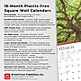2025 BrownTrout The Majesty of Trees 12" x 12" Monthly Square Wall Calendar (9781975477394)~#|#~768FDCE3-13C3-4D33-AB775E74563E2716_sc7
