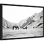 Amanti Art Moke Lake Horses IV by Laura Marshall Framed Canvas Wall Art Print, 23"W x 16"H (A42678809351)~#|#~7694D7A5-8BCF-48B7-9C8F2CF10D2E0DC3_sc7