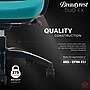 Beautyrest Duo-EX Ergonomic Mesh Swivel Computer Chair, Teal (60051-TEL)~#|#~76AEC3C8-68D5-41B8-90B52846A54DF010_sc7