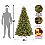 National Tree Company 6.5' Pre-Lit North Valley Spruce Artificial Christmas Tree (NRV7-301-65)~#|#~76F14BB0-B157-4FBF-9AEF9C1FCACD0C24_sc7