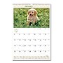 2026 AT-A-GLANCE Puppies 15.5" x 22.75" Monthly Wall Calendar (AAGDMW16728)~#|#~76F3486B-251B-4C25-BB868331EFB9D1FF_sc7
