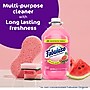 Fabuloso 2X All-Purpose Cleaner, Watermelon Scent, 169 oz. (61051624)~#|#~77F3731B-2639-4767-8C215A42840E24E8_sc7