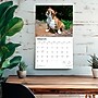 2026 BrownTrout For the Love of Bulldogs 14" x 12" Monthly Wall Calendar (9798330707133)~#|#~789A17F8-A2AF-4ACA-AD77AD8D38DF6AD1_sc7