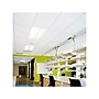 Armstrong CLEAN ROOM VL Square Lay-In Edge Ceiling Tile, 24" x 48", White, 8/Carton (BP870B)~#|#~78B614B1-FB41-4AC2-A47EAEA10F9D6D5F_sc7