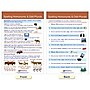 NewPath Learning Spelling Rules Bulletin Board Chart Set, 12" x 18", 7/Set (NP-923501)~#|#~792A20FA-CC28-412A-97D284AC1147B753_sc7