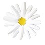 Carson Dellosa Education Happily Ever Elementary Retro Remix Daisies Dimensional Accents, 4/Pack, 3 Packs/Bundle (CD-107011-3)~#|#~796AC078-B95D-4E8C-90F437A2F9B07E91_sc7