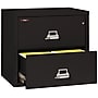 FireKing 1 Hour Fire Resistant Classic 2-Drawer Lateral File Cabinet, Letter/Legal, Black, 31.19"W, Dock to Dock (2-3122-CBL)~#|#~79714FE9-D042-485E-9A1D15F63995420B_sc7
