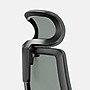 Branch Mesh Fabric Ergonomic Chair Pro Headrest, Everglade/Black (13-45-00-27-V2)~#|#~79FC725C-417D-4710-8B6E815DF171C788_sc7