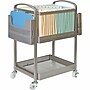 Lorell 2-Shelf Metal Mobile File Cart with Caster Wheels, Champagne Gold (LLR45654)~#|#~7A473F53-ADF8-4BB7-9D5468C4E771D062_sc7
