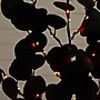 Nearly Natural Pre-Lit Artificial Halloween Black Eucalyptus Tree, 3' (T5220)~#|#~7ADC63C9-8808-4A72-A76864A23898D9F0_sc7