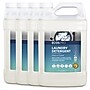 ECOS PRO Free & Clear HE Liquid Laundry Detergent, 128 Loads, 128 oz., 4/Carton (PL9764/04)~#|#~7B1B3E42-C4DC-4BD1-A778CEEF0A368D5D_sc7