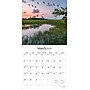 2026 Brush Dance Tranquility 12" x 12" Monthly Wall Calendar (9798330705962)~#|#~7BC32A47-F274-40D2-B1640AD756FB9213_sc7