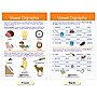 NewPath Learning Decoding & Phonics Bulletin Board Charts, 12" x 18", 8/Set (NP-921501)~#|#~7BD2AA0E-AA54-4032-B1DB383C320DD24C_sc7