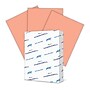 Hammermill 8.5" x 11" Color Copy Paper, 20 lbs., Salmon, 500 Sheets/Pack (103119)~#|#~7C1CE0E2-E14B-4FC5-BB6EC9BD08265B52_sc7