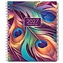 2027 Excello Brands Essential Pro 8.5" x 11" Weekly & Monthly Planner, Pastel Peacock (ESPRO-CY27-8511-61)~#|#~7C548043-E18F-4451-B9FEBAD423ACBD64_sc7