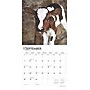 2025 BrownTrout Baby Moo Moos 12" x 12" Monthly Wall Calendar (9781975476588)~#|#~7C6463DA-4EF5-4AAC-86A2C990346D6A5D_sc7