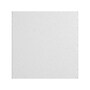 Armstrong CLEAN ROOM VL Square Lay-In Edge Ceiling Tile, 24" x 48", White, 8/Carton (BP870B)~#|#~7CB2C792-BCBA-44EC-A78E0BB551C58DF4_sc7