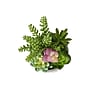 Monarch Specialties Inc. 9" Artificial Succulent Plant in Pot, 2/Set (I 9366)~#|#~7CF31CD4-9342-4B7C-807092B6830E8C69_sc7