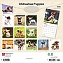 2026 BrownTrout Chihuahua Puppies 12" x 12" Monthly Wall Calendar (9798330702923)~#|#~7D382BBB-330F-46E6-92E639D0710B4ADA_sc7