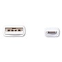 Innovera® USB Lightning Cable, 10 ft, White~#|#~7D6D4973-30A9-4616-95DB33AA8313CB44_sc7