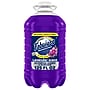 Fabuloso Professional All-Purpose Glass & Surface Cleaner Degreaser Bottle, Lavender Scent, 125 oz. (61051910)~#|#~7D87CAE4-24AF-4046-AF4E473DD74DF57A_sc7