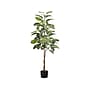 Monarch Specialties Inc. Rubber Tree in Pot (I 9513)~#|#~7D910264-262D-43F2-B881C0577A67D82F_sc7