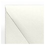 LUX A2 Contour Flap Envelopes, 250/Box, Quartz Metallic (1870-08-250)~#|#~7E2FDBFF-930E-4001-94866E10D8733C4C_sc7