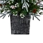 Nearly Natural Frosted Artificial Christmas Tree Pre-Lit, 4' (T3037)~#|#~7E872B7E-3410-4001-AB8E3E5177AD9BB9_sc7