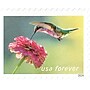 USPS Garden Delights Forever 20 Postage Stamps (FOR-GARDENDE-20)~#|#~8052FD76-8289-4D5A-A4F6D2C5371DA0B9_sc7