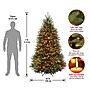 National Tree Company 6.5' Pre-Lit Dunhill Fir Artificial Christmas Tree (DUH-70RLO)~#|#~808901AF-4E9F-470C-BD86CB49B60F59D7_sc7