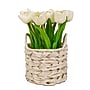 National Tree Company 10" White Tulip Bouquet in White Basket (MT81-10926GWH-1)~#|#~8127D937-8DD3-4225-A60EFD9F75877110_sc7