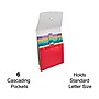 Staples Plastic Accordion File, 6-Pocket, Letter Size, Multicolor (TR51848)~#|#~815875B5-1635-4FB3-8482F7794ADB54C4_sc7