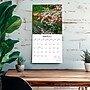 2027 BrownTrout Japanese Gardens 12" x 12" Monthly Wall Calendar (9798330713981)~#|#~81C95CA2-78BD-4D32-92FDC6C8AAD9D0C2_sc7