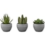 Monarch Specialties Inc. Succulents in Pots, 3/Pack (I 9587)~#|#~820AEEF8-D39E-4D90-B0A298C13E43CB93_sc7