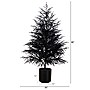 Nearly Natural Artificial Halloween Real Touch Black Norfolk Pine Christmas Tree, 5' (T5243)~#|#~821D7A4A-116B-48E6-8BB91A5E3C67C93D_sc7