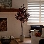 Nearly Natural Pre-Lit Artificial Halloween Black Eucalyptus Tree, 6' (T5223)~#|#~8282351E-56AF-4B77-B9940ABDAF3B7E87_sc7