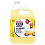 Mr. Clean PRO All Surface Cleaner Commercial Grade, 1 Gallon (24345)~#|#~82D4DA29-91CB-4443-BC10B2F184BA4BCA_sc7