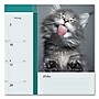 2026 Blueline Pets Collection 22" x 17" Monthly Desk Pad Calendar (REDC194115)~#|#~82EA3E1E-B254-480E-ABD1DEF6BAF12C3F_sc7