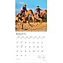 2026 BrownTrout Cowboys 12" x 12" Monthly Wall Calendar (9798330703050)~#|#~83237FE0-430F-4005-87924423BB2AE7F8_sc7
